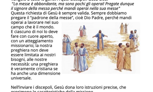 Foglio Settimanale dal 03 al 10 luglio 2022